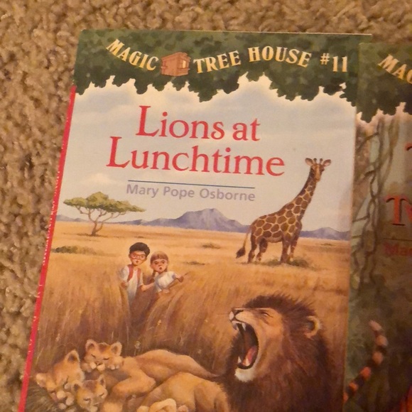 Magic Tree House books 11, 19, and 24. by Osborne - Picture 2 of 4